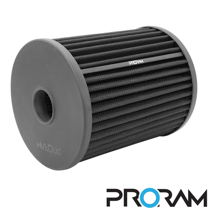 Ramair PRORAM Pleated Panel Air Filter - Audi A6 (C7) 4.0 TFSI RS6 2012-2015 | PPF-2044