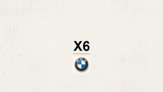 BMW X6 model name with BMW logo on a pale technical background