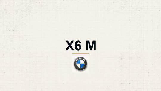 BMW X6 M model name with BMW logo on a pale technical background