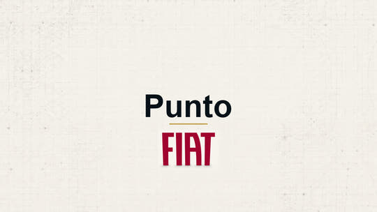 Fiat Punto model name with Fiat logo on a pale technical background