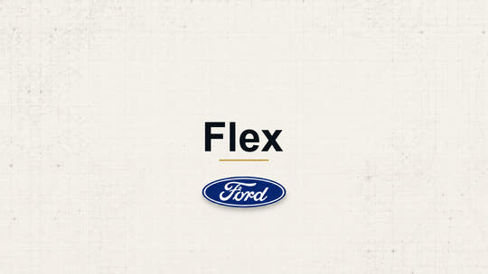 Ford Flex model name and manufacturer logo on a pale technical background