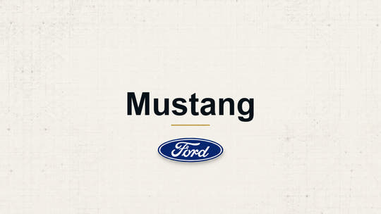 Mustang model name with Ford logo on a pale technical background