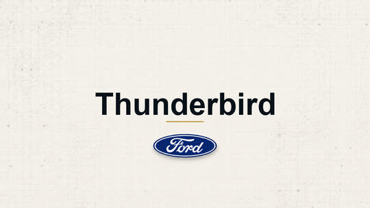Thunderbird model name with Ford logo on a pale technical background