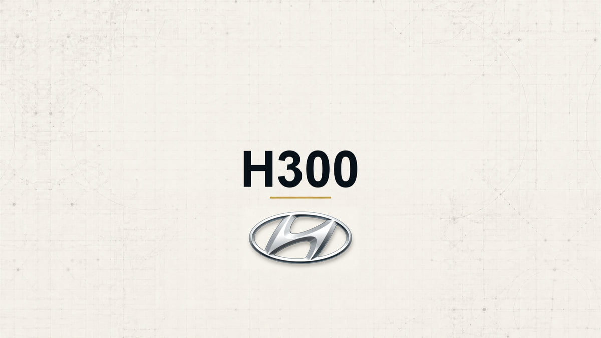 Hyundai H300