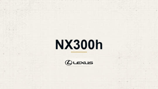 Lexus NX300h model name with Lexus logo on a pale technical background