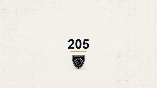 Peugeot 205 model name with Peugeot logo on a pale technical background