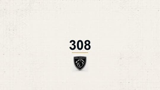 Peugeot 308 model name with Peugeot logo on a pale technical background
