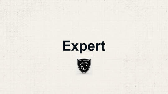 Peugeot Expert model name with Peugeot logo on a pale technical background