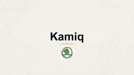 Skoda Kamiq model name with Skoda logo on a pale technical background