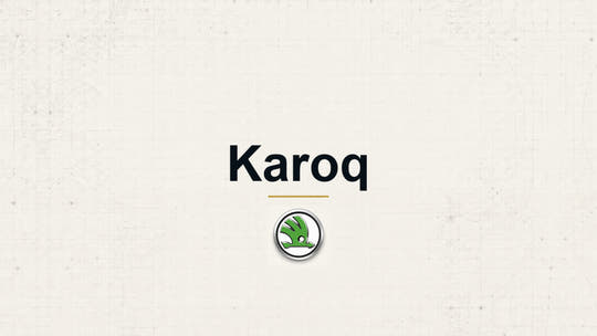 Skoda Karoq model name with Skoda logo on a pale technical background