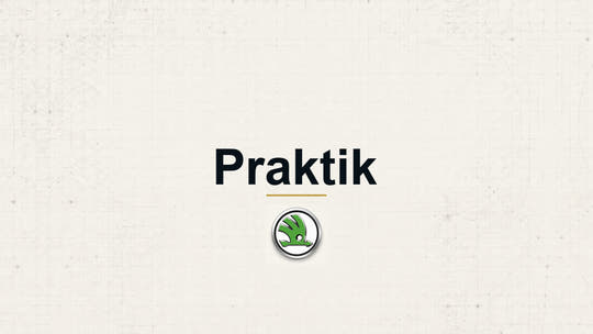 Skoda Praktik model name with Skoda logo on a pale technical background