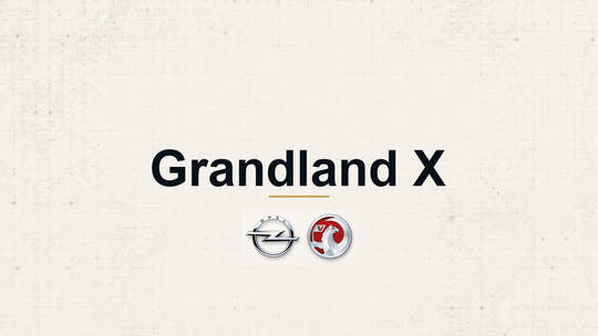 Vauxhall Grandland X model name with Vauxhall logo on a pale technical background