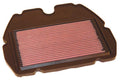 K&N Replacement Air Filter | HA-6091