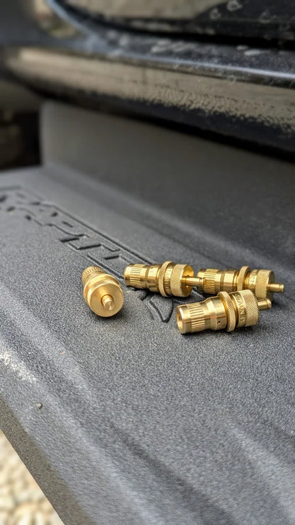 Staun Tyre Deflators (6-30 PSI)