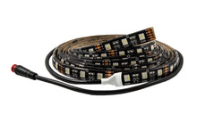 RGBW Multicolor Flexible 5050 SMD LED Strip