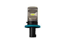 PH19W HP60 LED Bulbs