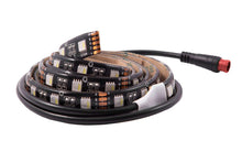 RGBW Multicolor Flexible 5050 SMD LED Strip