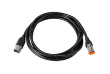 DT 4-Pin Extension Wire